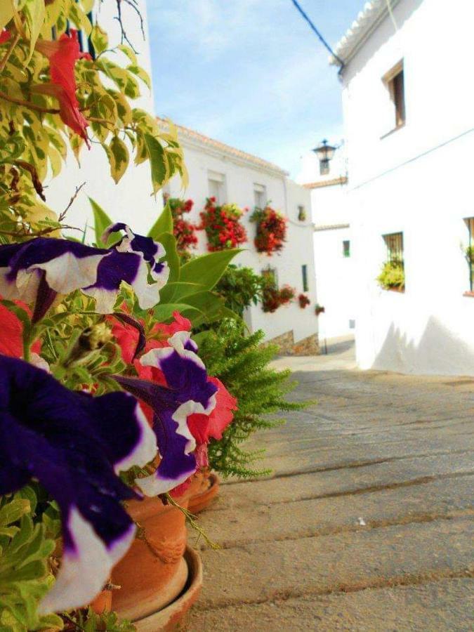 Valleverde Apartment Fuengirola Dış mekan fotoğraf